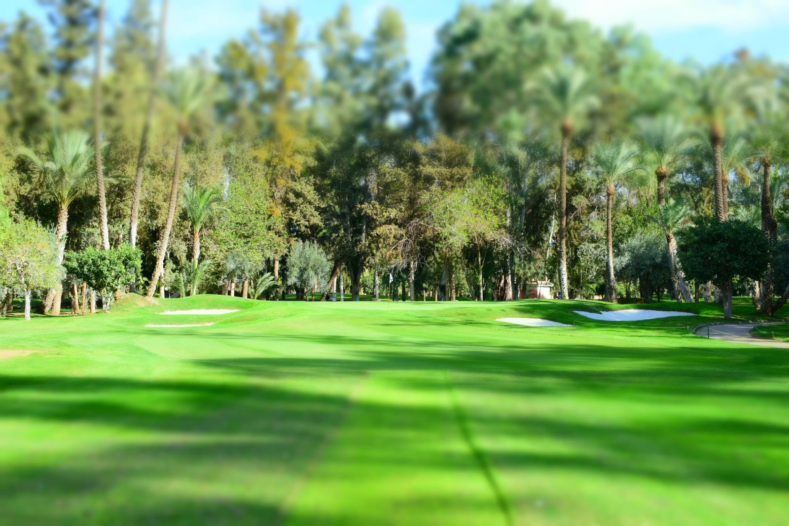 Royal Golf Marrakech — photo 3