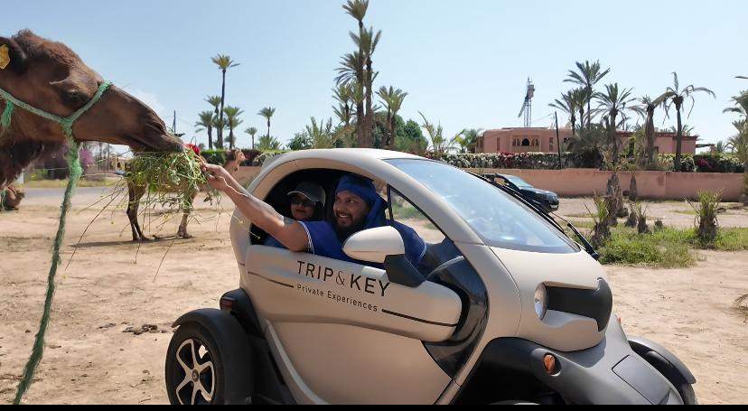 Trip & Key - Private electric Twizy tours.