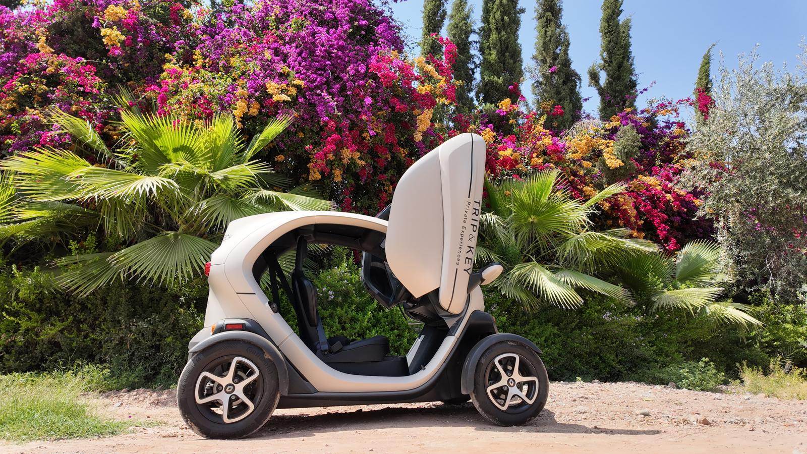 Trip & Key - Private electric Twizy tours. — photo 3